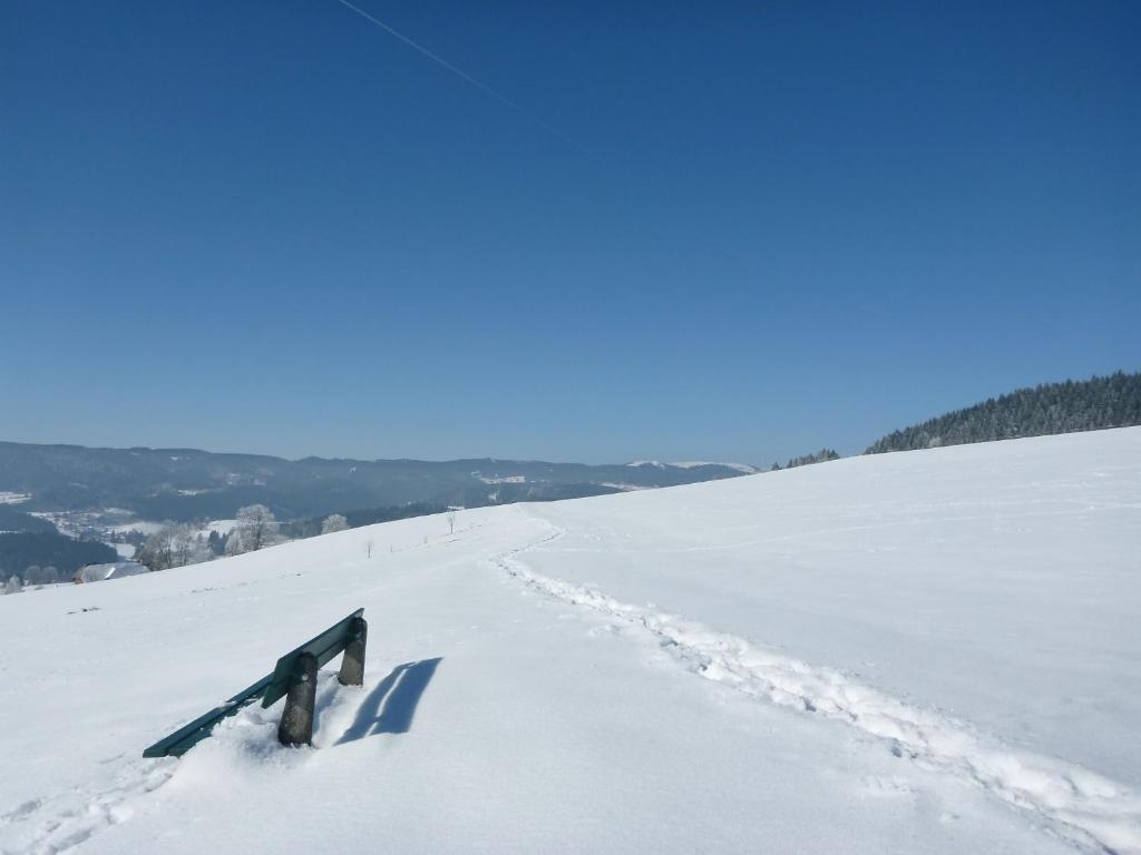 Gaestehaus Hundelbach Lenzkirch Εξωτερικό φωτογραφία