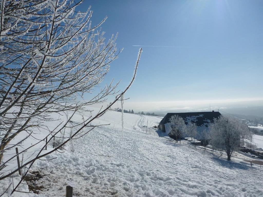 Gaestehaus Hundelbach Lenzkirch Εξωτερικό φωτογραφία