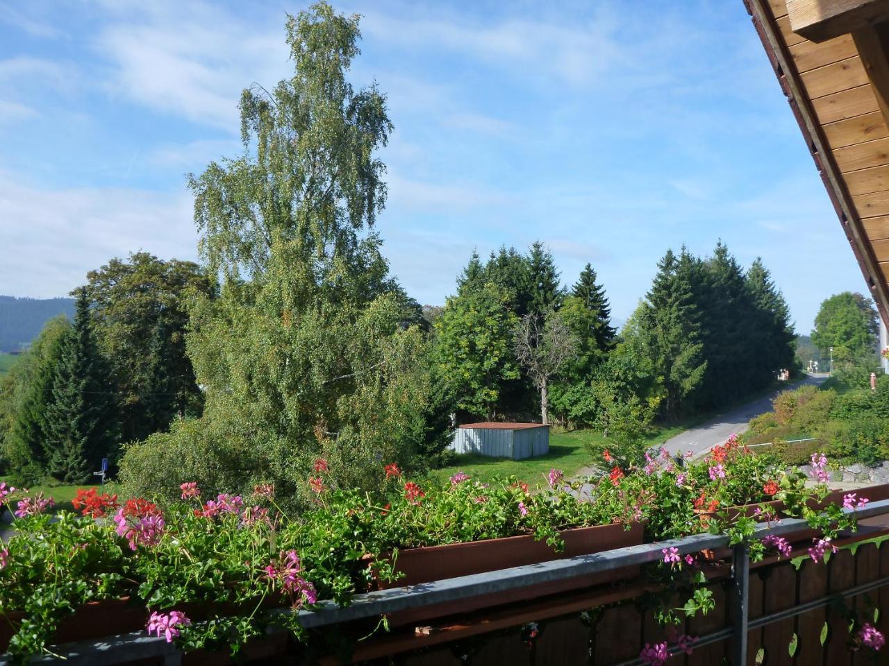 Gaestehaus Hundelbach Lenzkirch Εξωτερικό φωτογραφία