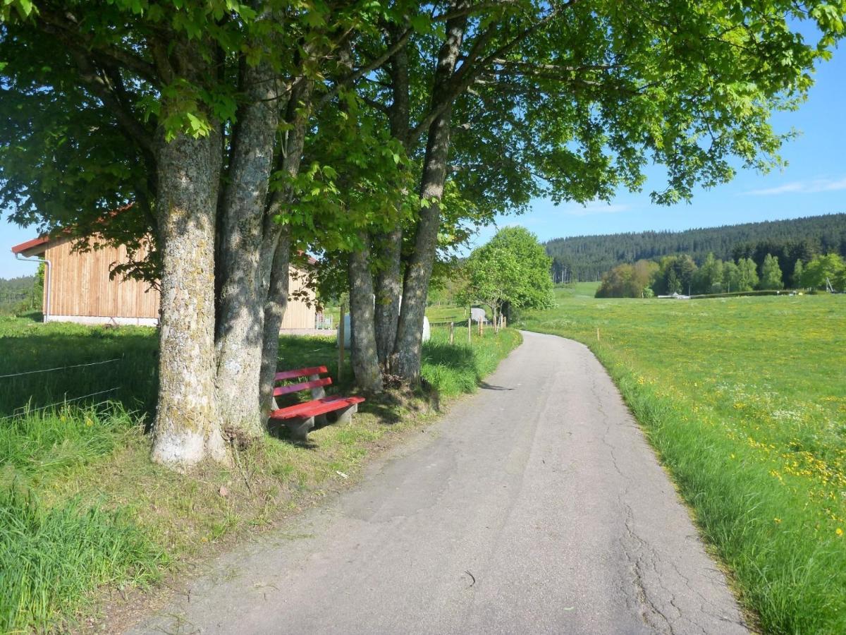 Gaestehaus Hundelbach Lenzkirch Εξωτερικό φωτογραφία